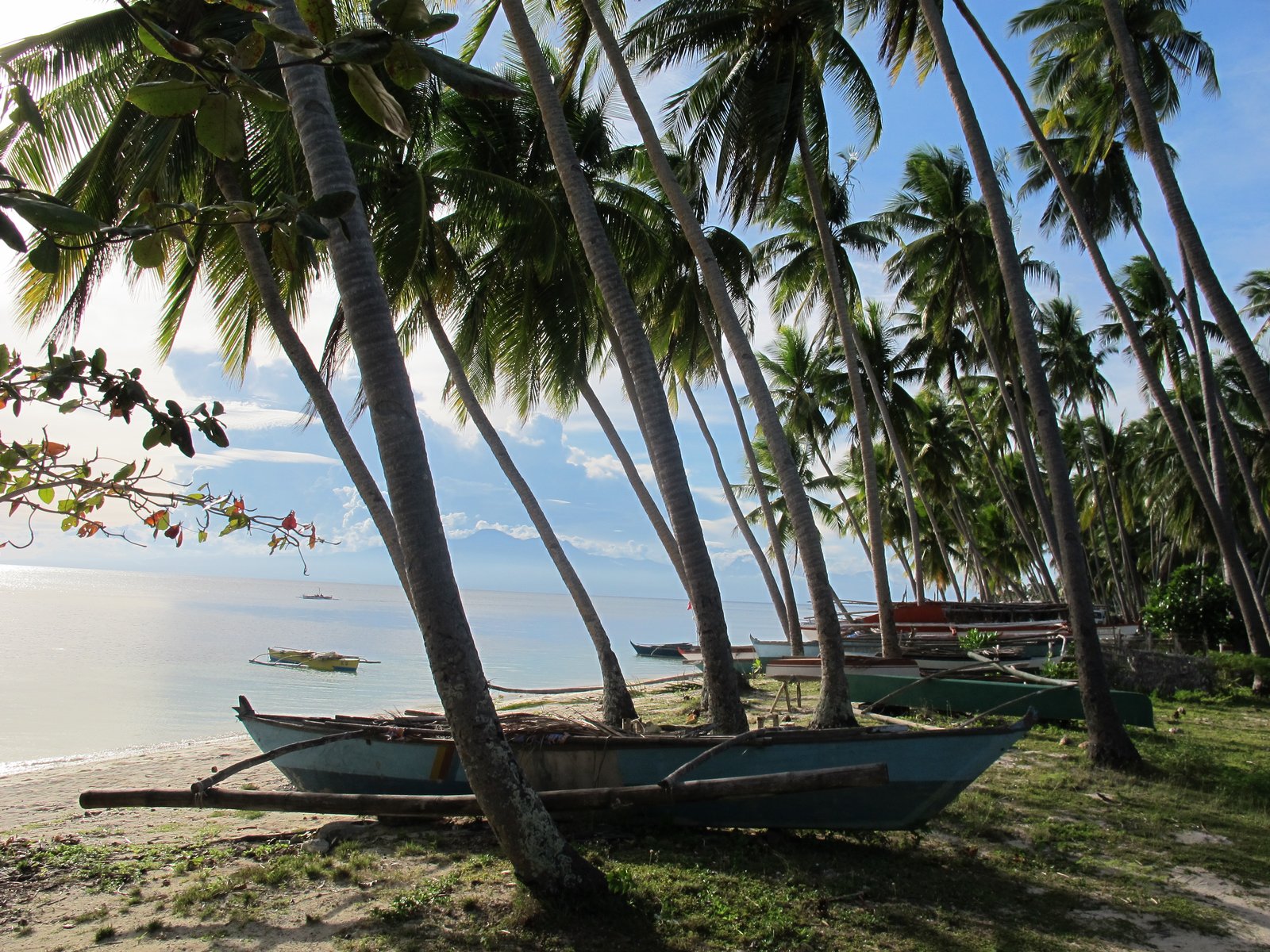 Siquijor 현지편: 조용한 섬이 아니라, 이동과 숙소가 여행을 바꾸는 섬